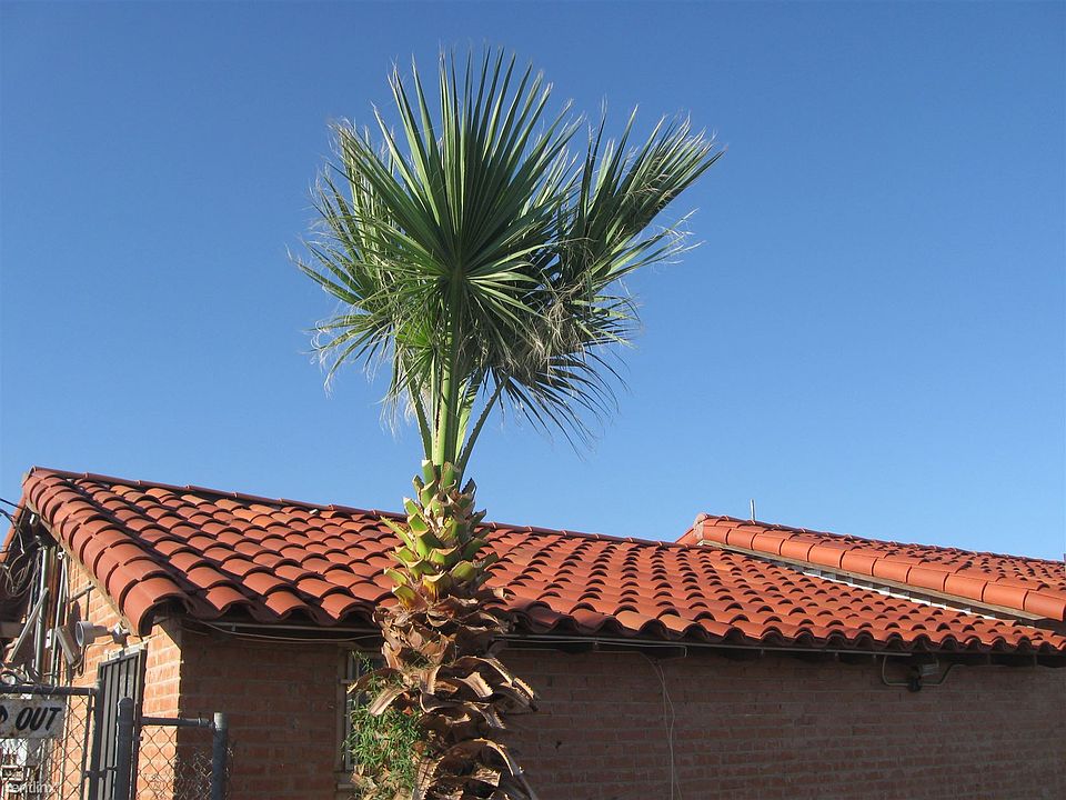1st image of 301 N Sunshine Blvd