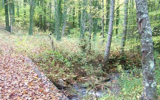2nd image of Junaluska Road