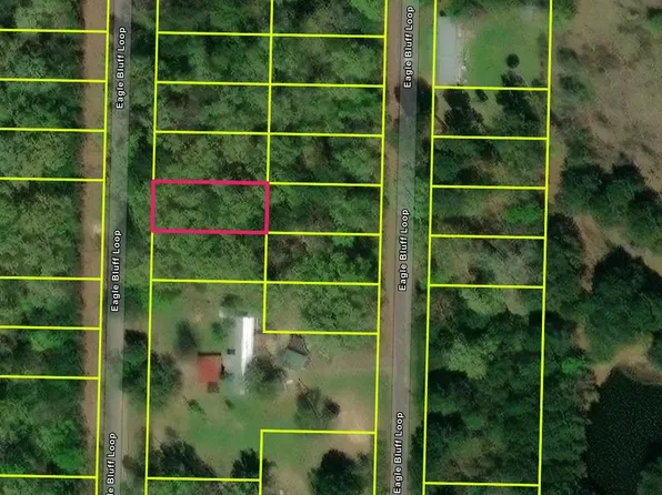527 Eagle Bluff Loop Lot 527, Avinger, TX 75630