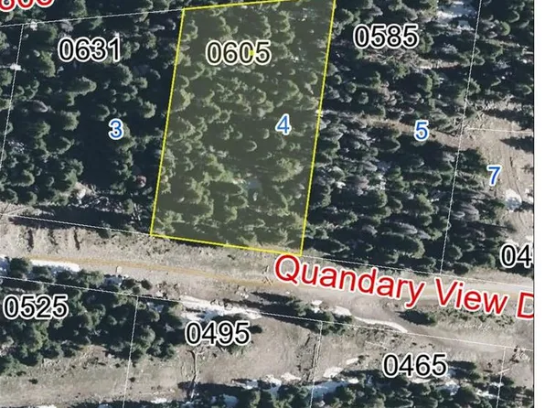 0605 CR 805 LOT 4, Breckenridge, CO 80424