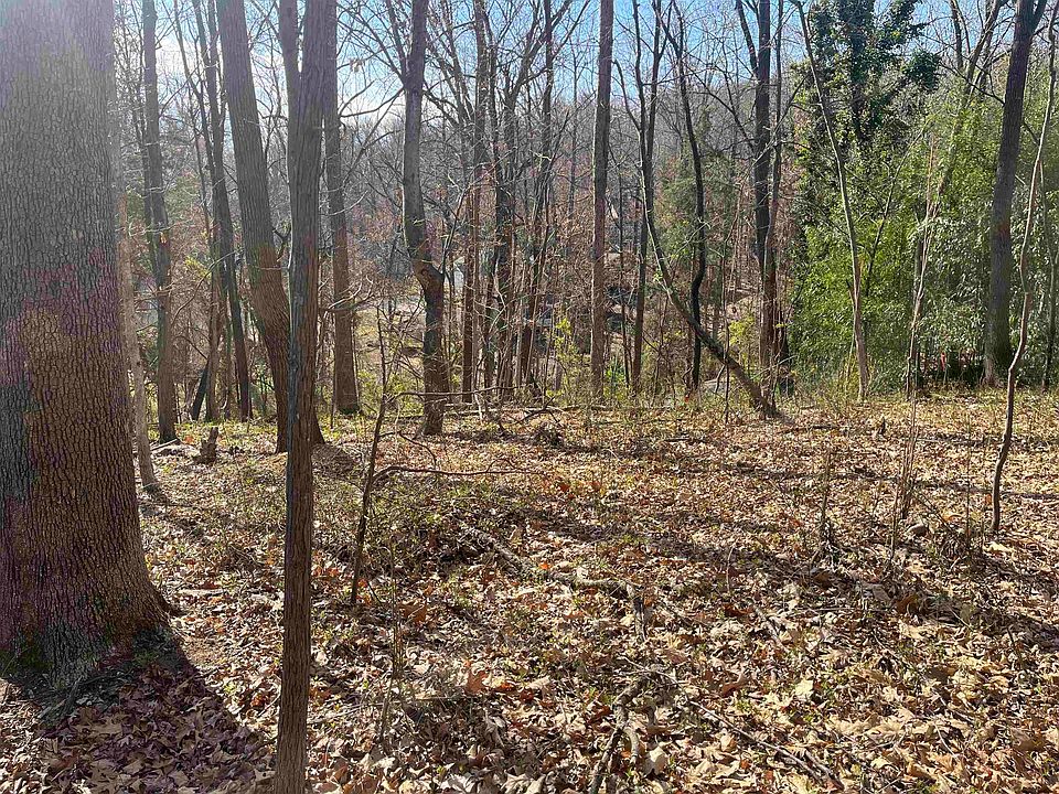 2nd image of 877 Flower Dr