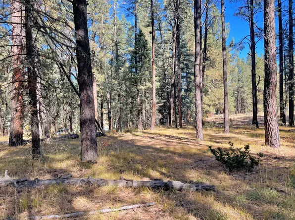 58 La Cueva Pl, Jemez Springs, NM 87025