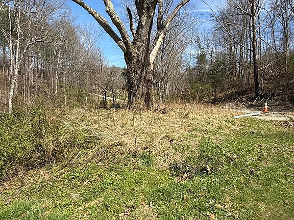 5th image of 3965 Open Fork Rd