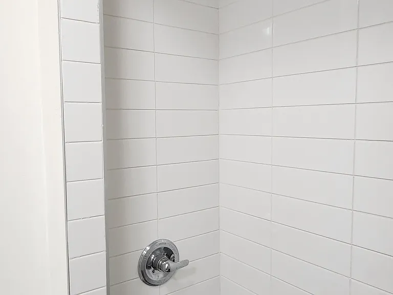 Primary Shower