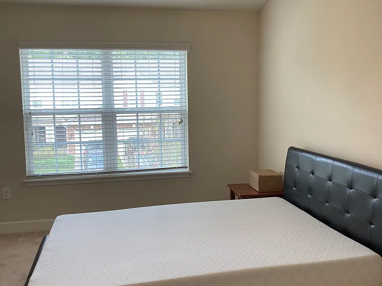 6846 Roundleaf Dr — Photo 10