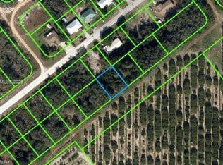 Avon Park Lakes, Avon Park, FL 33825