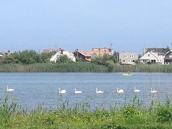 View of lake from deck