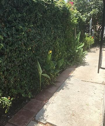 2nd image of 4245 Martin Luther King Jr Blvd
