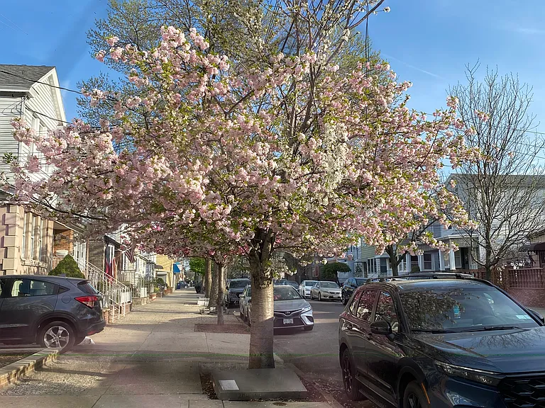 93rd St — Photo 6