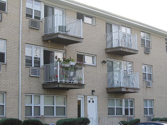 5th image of 11 Massey St #4