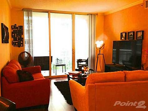 2nd image of 2000 N Bayshore Dr APT 523