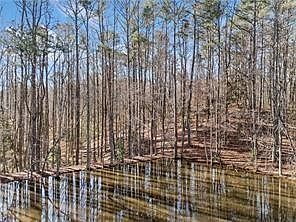 4th image of 428 Dogwood Dr #3