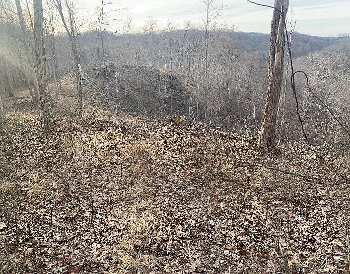1st image of 1308 Carrs Run Rd