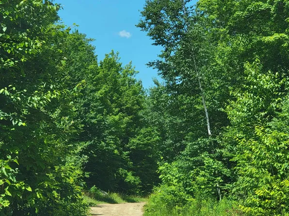 0 Old Gale Hill Road, Glastenbury, VT 05262