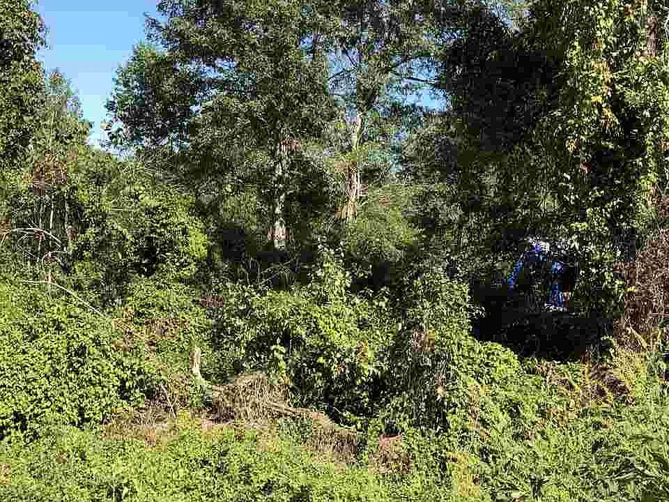 1st image of 898 Shady Ln