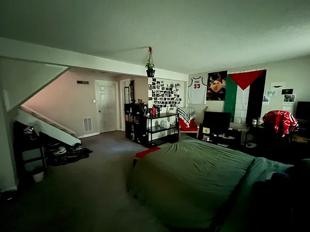 Lower-Level Bed Room - toward bath & stairs