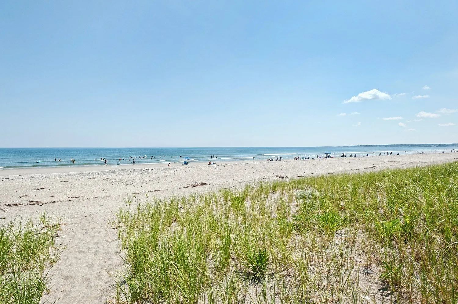 1 bed, 1.5 bath, 1022 sqft, $3,195 — Photo 3