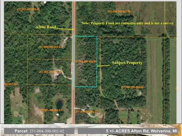 Vl Afton Rd, Wolverine, MI 49799