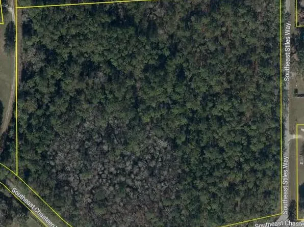 712 SE Stiles Way, Lake City, FL 32025