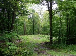 LOT 3 Penfield Rd LOT 3, Camden, NY 13316