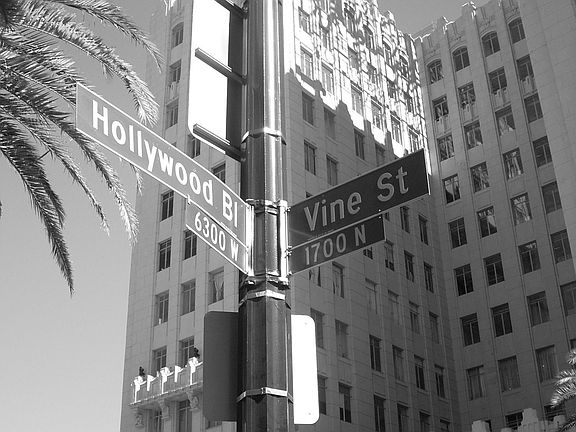 Hollywood & Vine