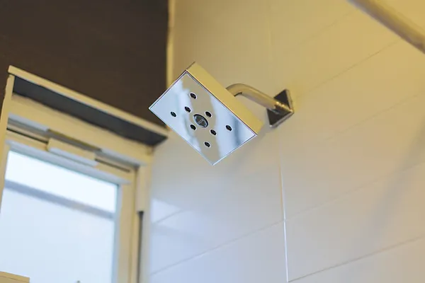 Rented by Evergreen Apartments BK | media 45