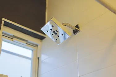 Rented by Evergreen Apartments BK