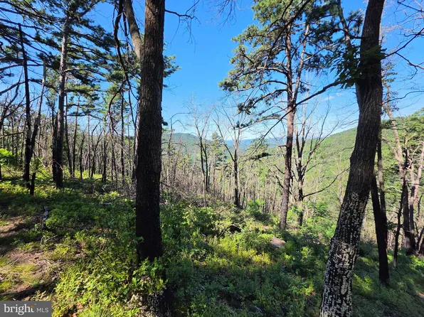 LOT 75 Hunters Ridge Trl, Moorefield, WV 26836