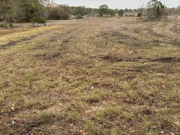 0 County Road 3328, Brundidge, AL 36010