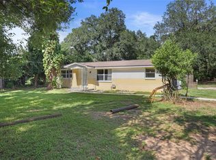 403 Lutie Dr, Valrico, FL 33594