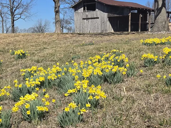 365 State Highway 5 N, Gainesville, MO 65655