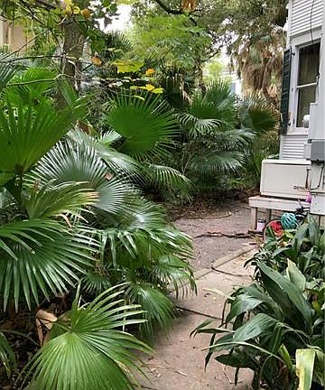 2nd image of 2326 Esplanade Ave