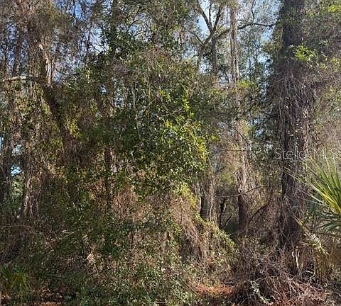 4th image of TBD NE 236 TERRACE LOT 10