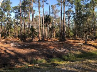 2306 Columbus Ave, Alva, FL 33920