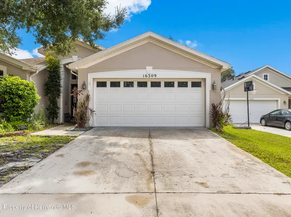 16309 Bridgeglade Ln, Lithia, FL 33547