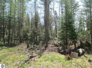 4549 Lund Rd SW, Fife Lake, MI 49633