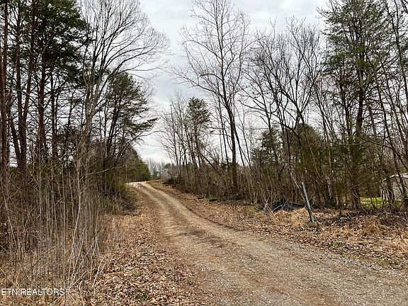 5th image of Toomey Ln