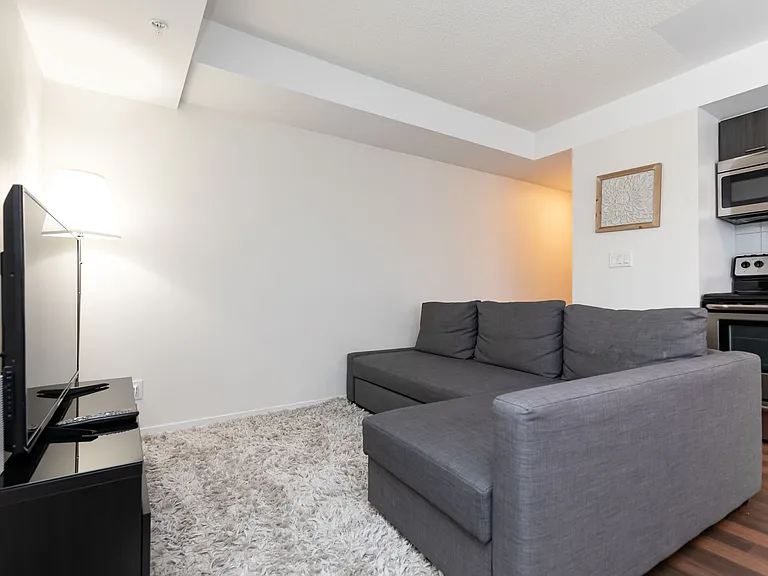 20 Joe Shuster Way #211 — Photo 15