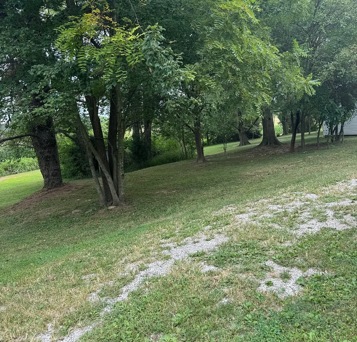 1 bed, 1.0 bath, $950 — Photo 4
