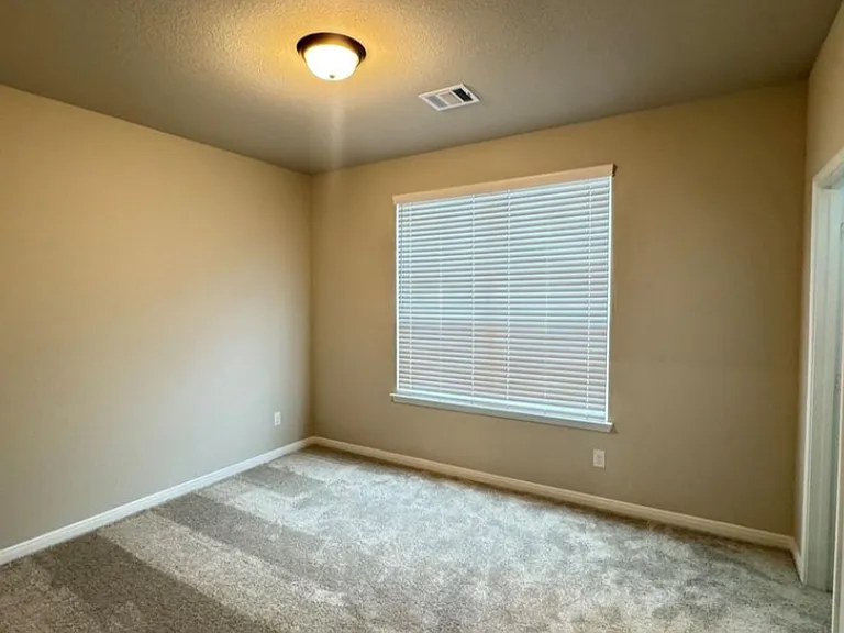 3010 Moonlit Mesa Ln — Photo 12