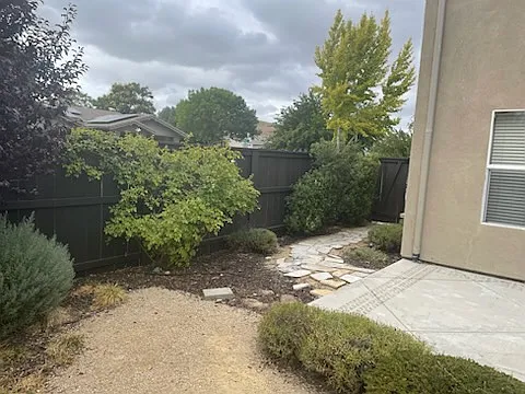Back yard