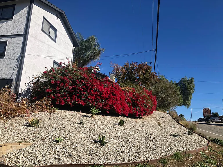 9236 Ventura Way — Photo 3