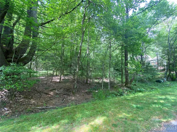 U26 L151 Nodatsi Ct #L151, Brevard, NC 28712
