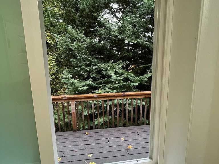 Window View