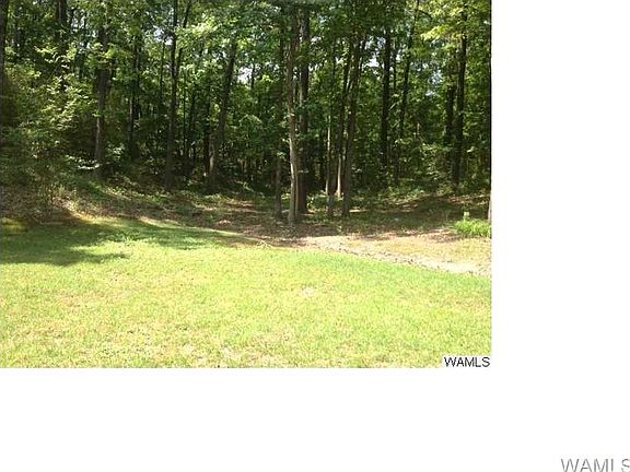 3rd image of 14324 Lake Wildwood Dr