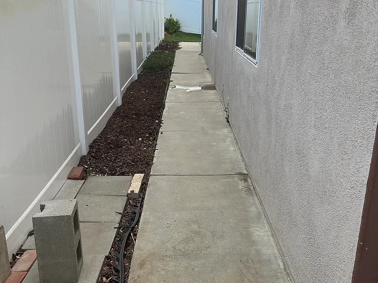 Side of house gardening area