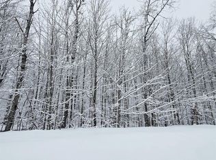 394 Pinedale Dr, Elmira, MI 49730