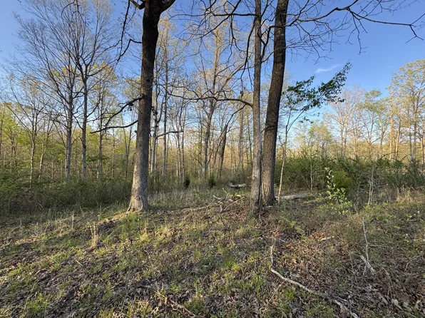 0 Ridgewood Dr Lot 2, Mc Ewen, TN 37101