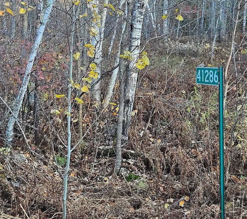 1st image of 41286 Yellow Birch Ln