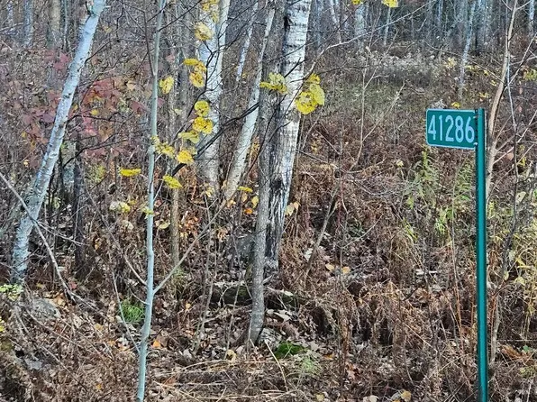 41286 Yellow Birch Ln, Emily, MN 56447